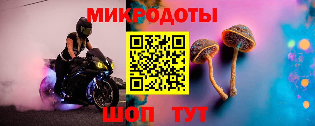 Кольчугино  Псилоцибиновые грибы Magic Shrooms  Вход с VPN 